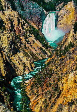 Lower Yellowstone Falls (@ Artist Point)