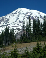 Mount Rainier National Park