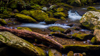Roaring Fork