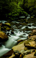 Roaring Fork